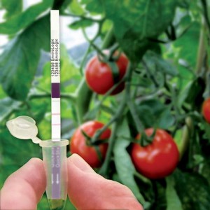 elix-tomato-sm
